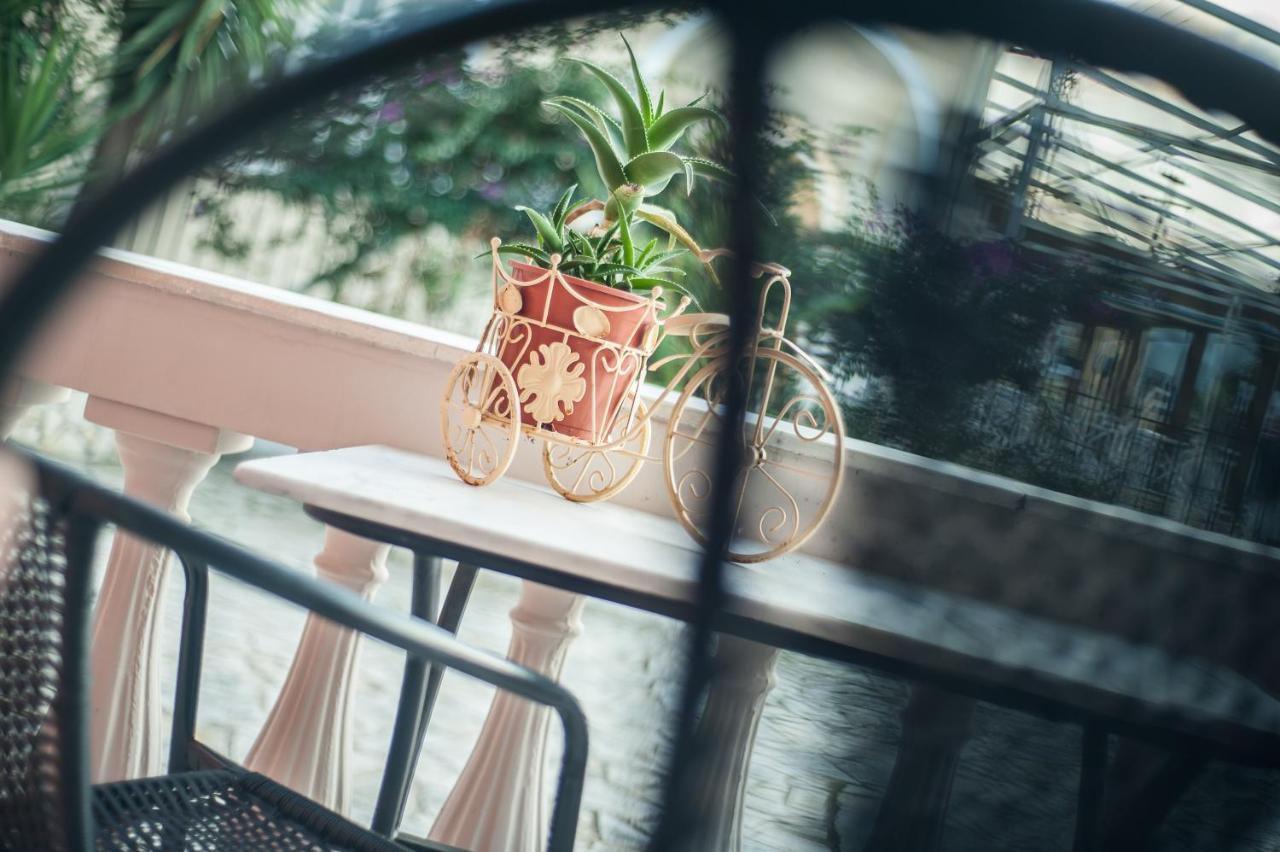 اليكاناس Zante Nest Studios & Apartments المظهر الخارجي الصورة